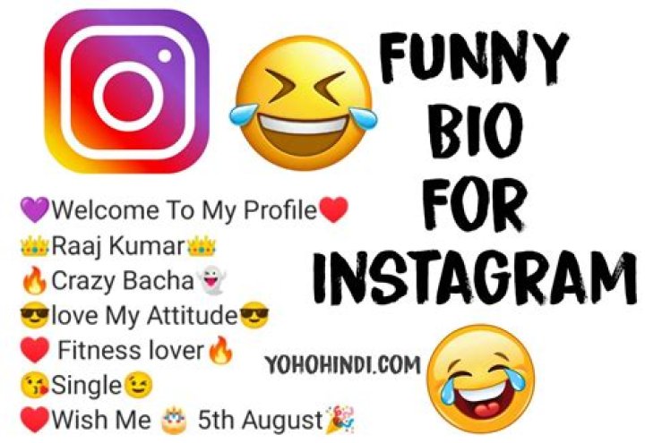 100+ Funny Instagram Bio Ideas Funny Bio For Instagram &raquo;