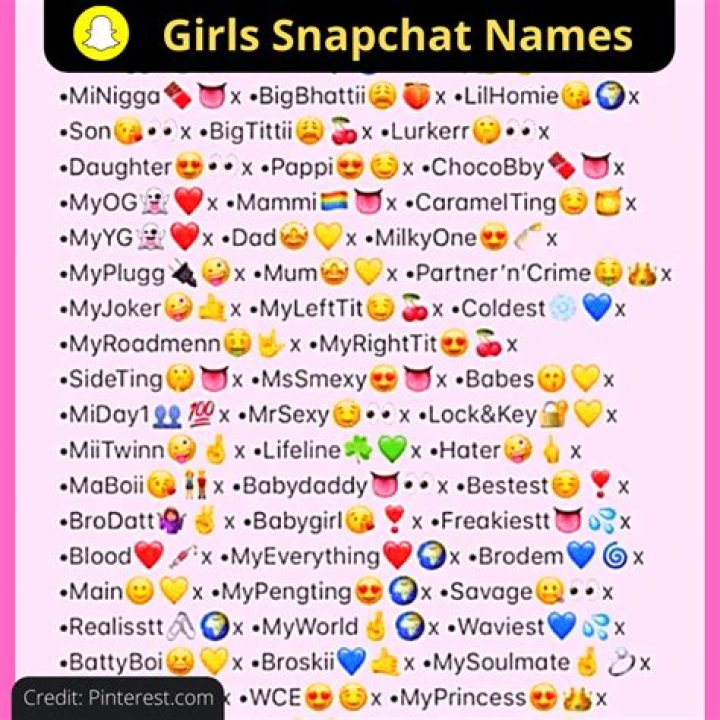 100+ Snapchat Names Ideas Must Check Out You'll Love It Startup Opinions