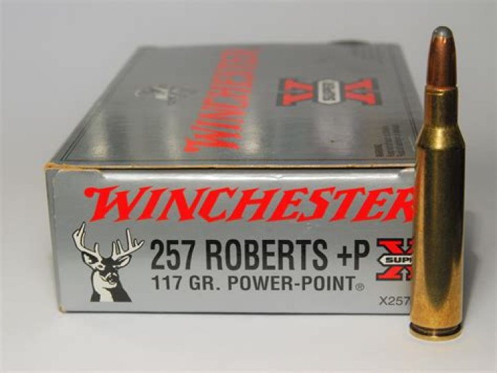 257