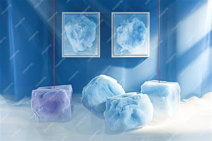 A blue and white ice roller.