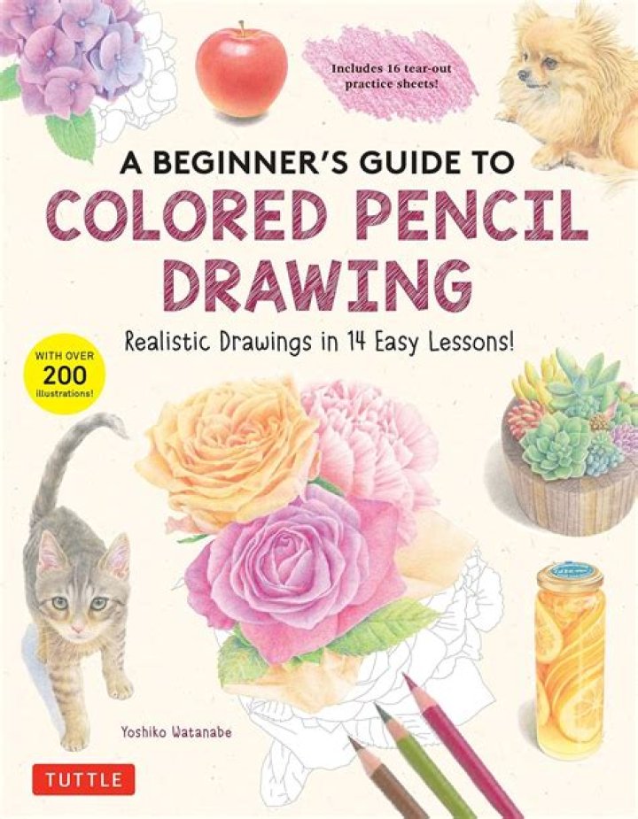 A Guide to Drawing for Leo