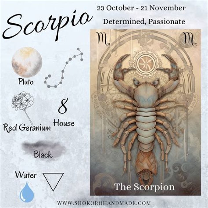 A Guide to Flowers for Scorpio