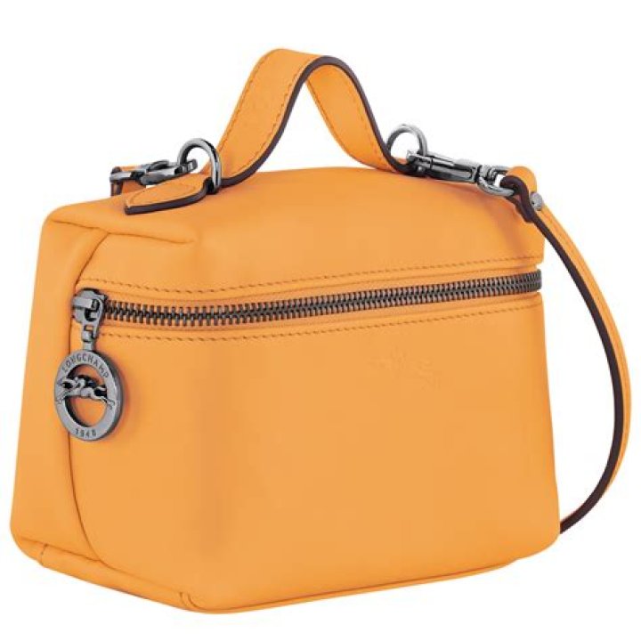 A Longchamp vanity bag
