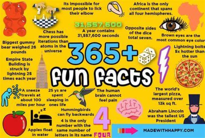 Abby Dowse Fun Facts