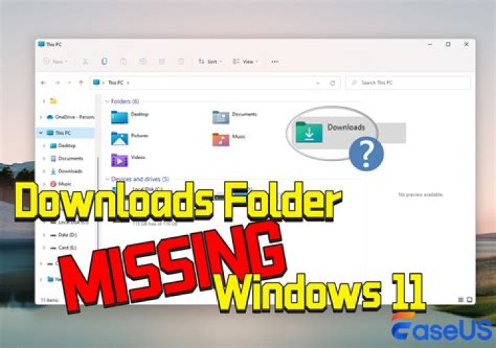 All text is missing from Windows 10/11