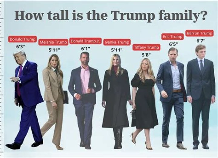 Ally Walker Height – How Tall is Ally Walker?