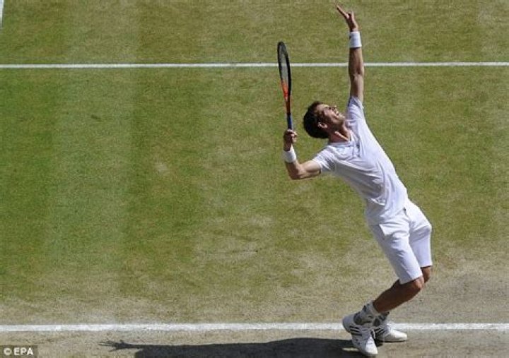Andy Murray serving