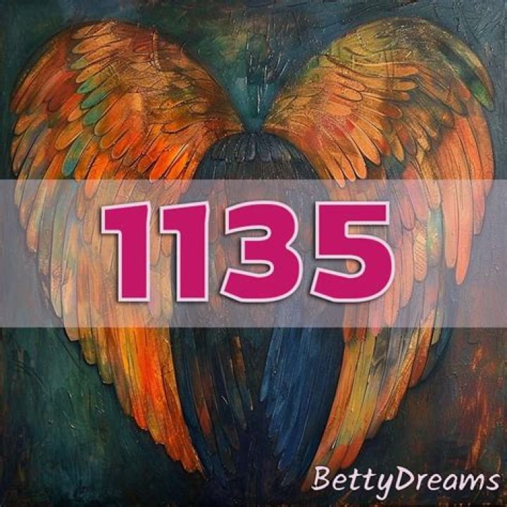 angel number 1135
