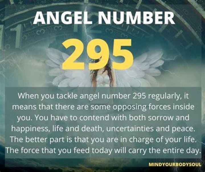 Angel Number 295