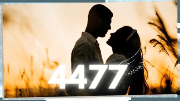 angel number 4477