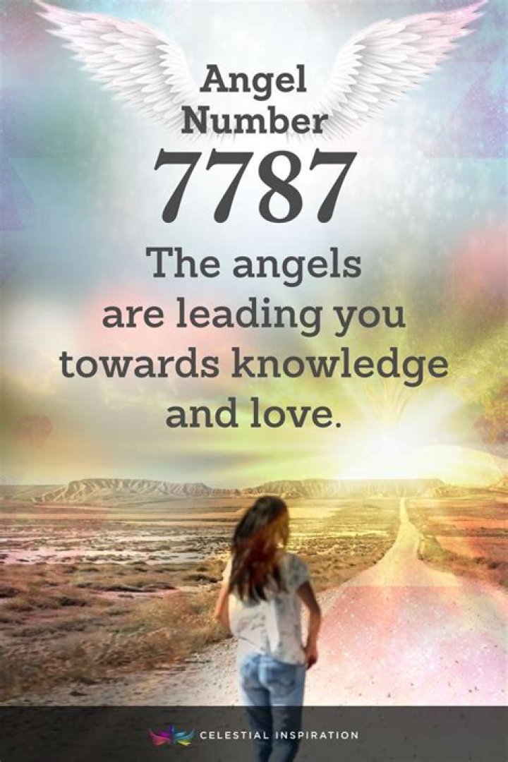 angel number 7787