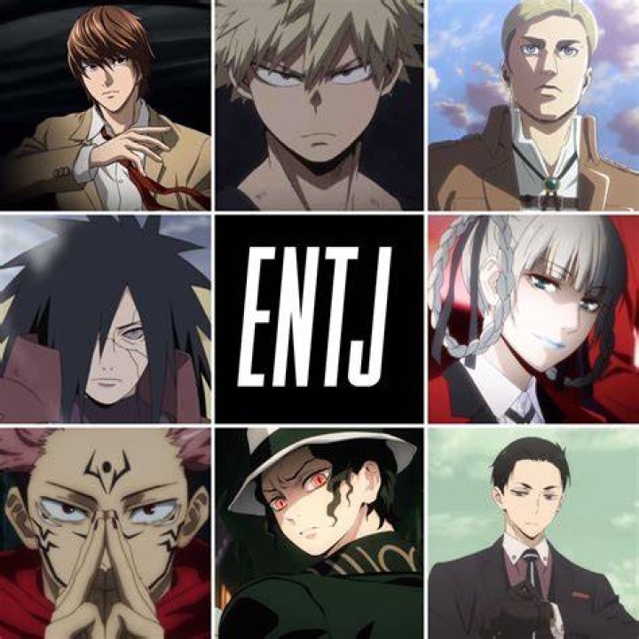 Anime Characters That Are Entj
