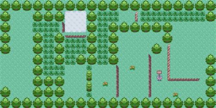 Appendix:X and Y walkthrough/Section 2