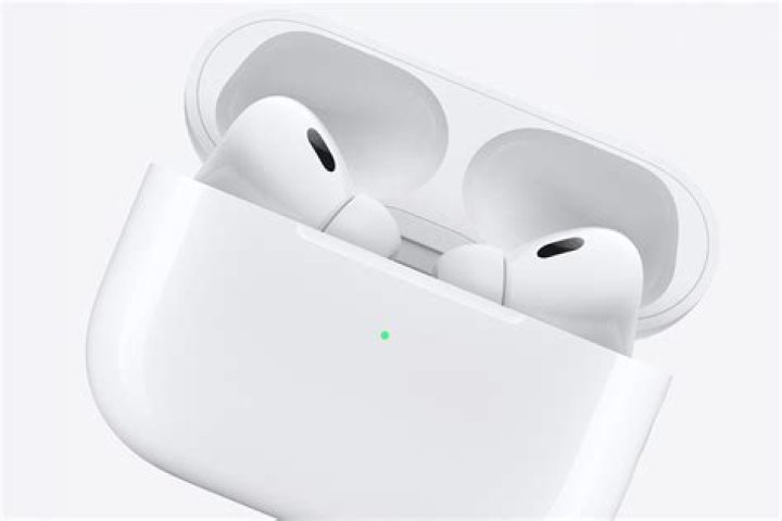 Apple AirPods in a case.