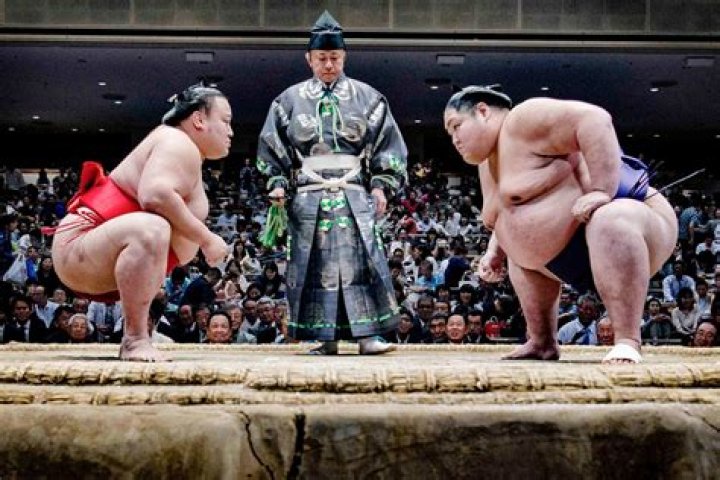 Are Sumo Wrestlers Strong
