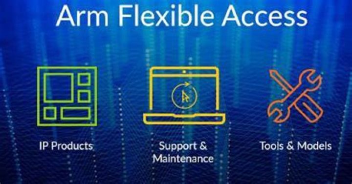 ARM processor ARM flexible access