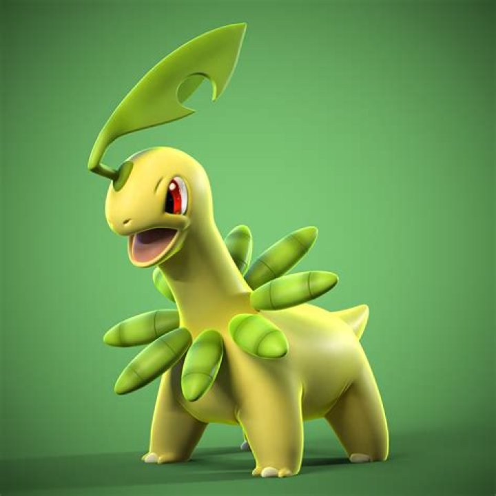Bayleef
