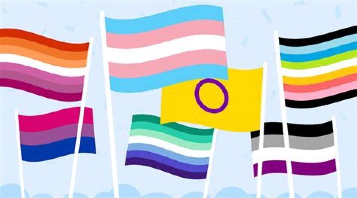 Bisexual Josh Hutchner is back!