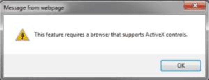 browser that supports activex controls