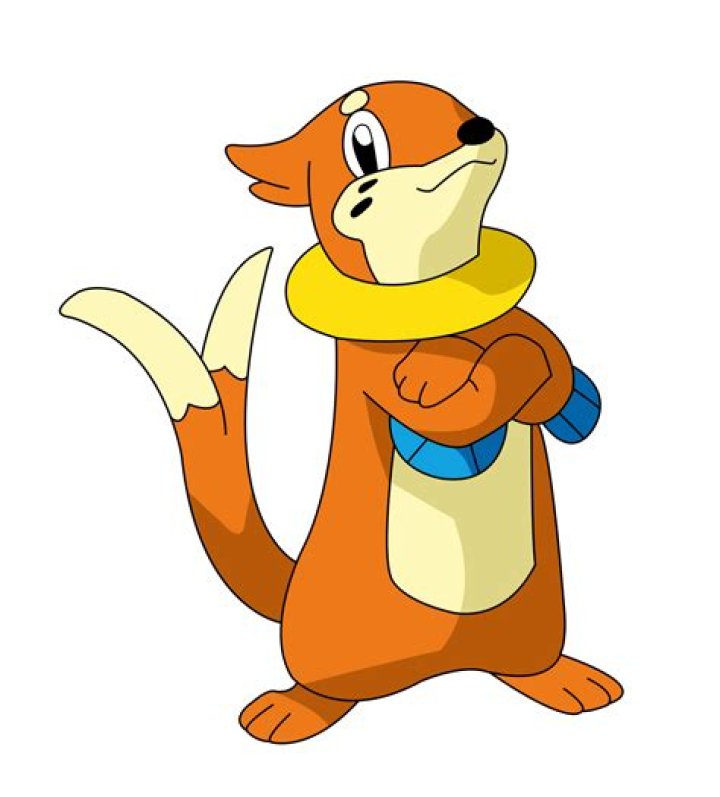Buizel