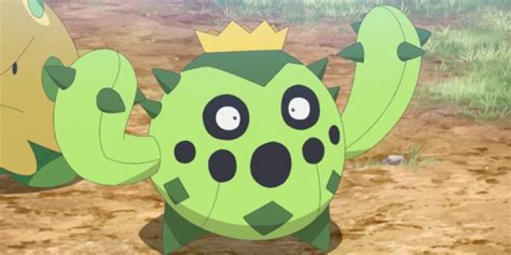 Cacnea