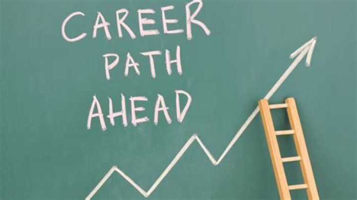 Career Beginnings Career Beginnings