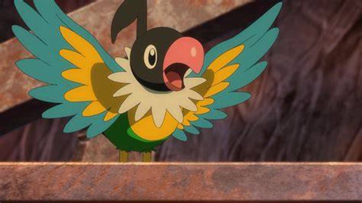 Chatot