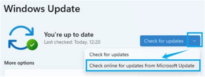 Check for updates to fix ccleaner update not working