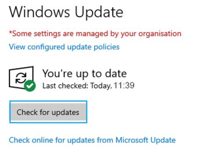 Checking for new updates from Microsoft to download