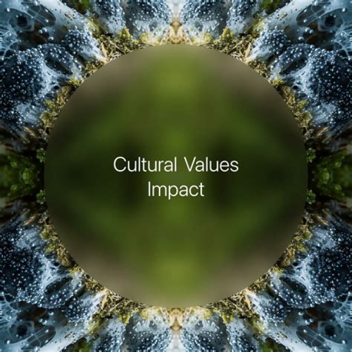 cher cultural impact