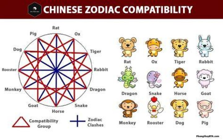 chinese monkey zodiac compatibility with snake. The Chinese zodiac monkey and snake are so different that they might not be able to get along.