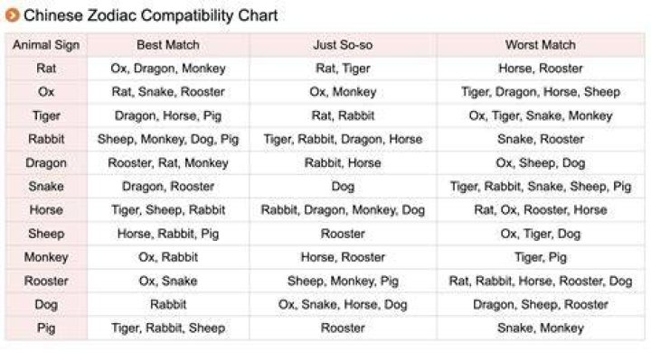 chinese rabbit zodiac compatibility with rat. The rabbit rat compatibility will take a good deal more effort than the average.