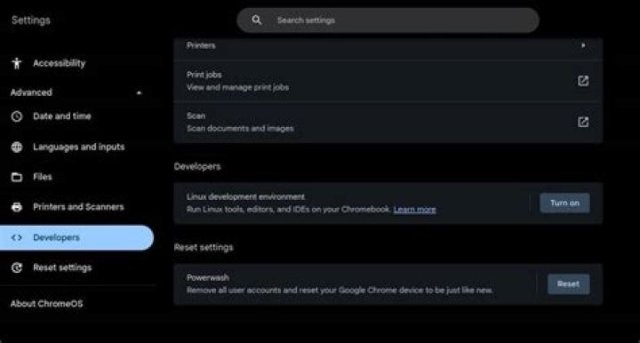 Chromebook Developer settings