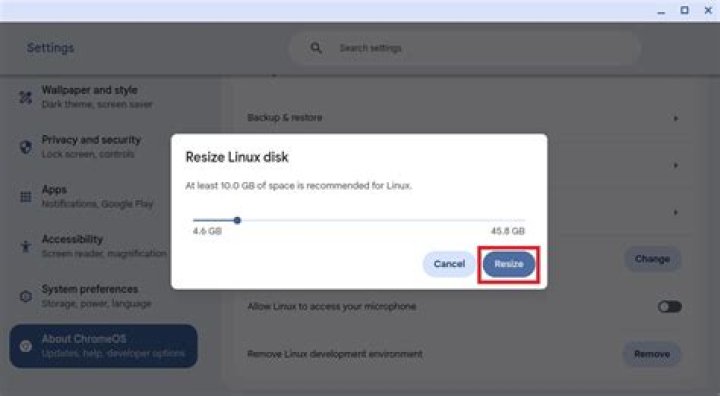 Chromebook Linux disk size