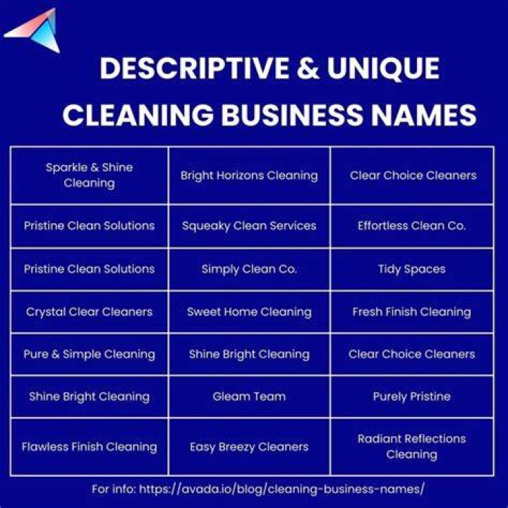 cleaning company name ideas