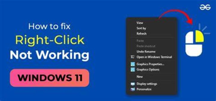 Click on Windows 11 64-bit Download link