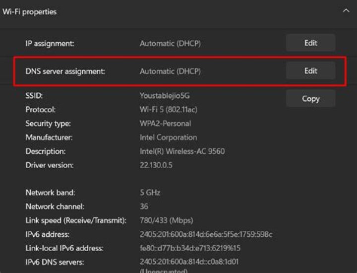 clicking edit dns assignment