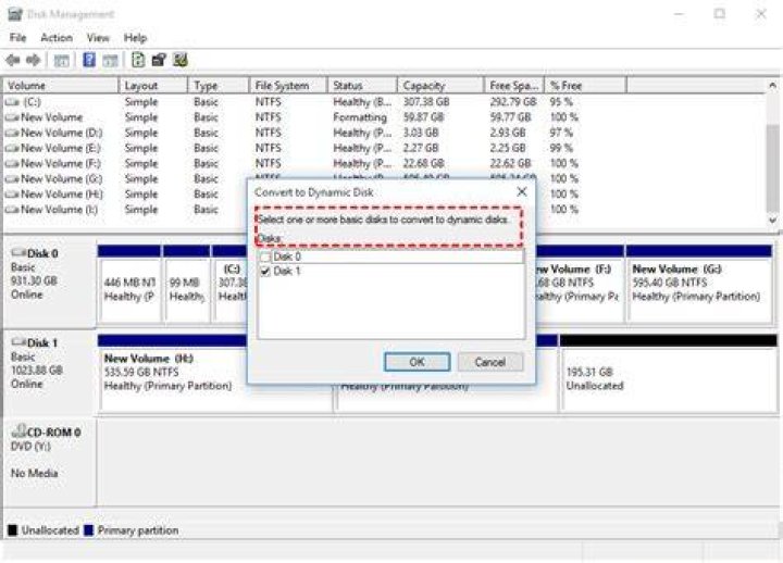 Convert to Dynamic Disk