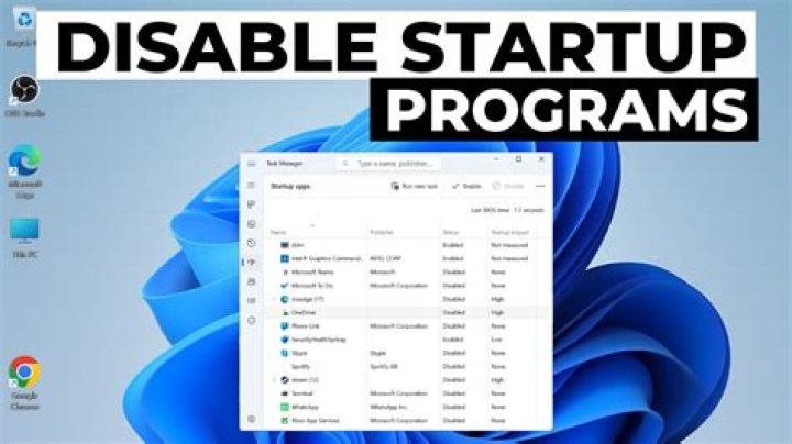 disable startup applications wlanext.exe problems