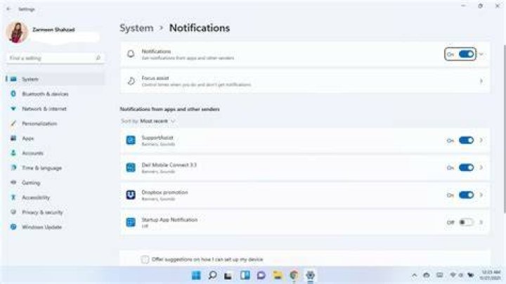 disable system notifications