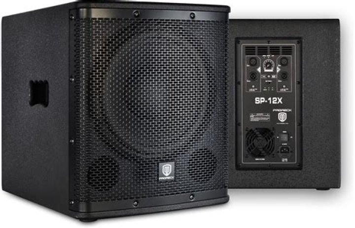 dj subwoofer