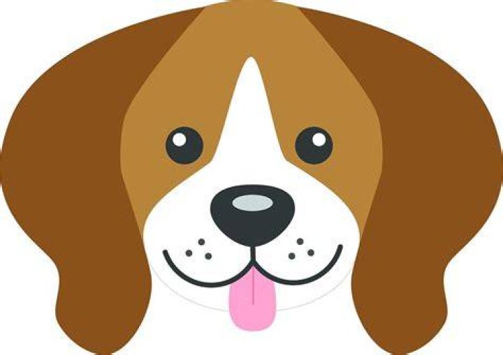Dog face