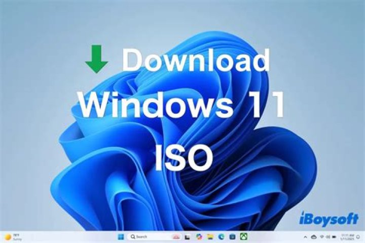 Download Windows 11 ISO file