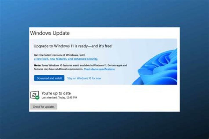 Download Windows Update