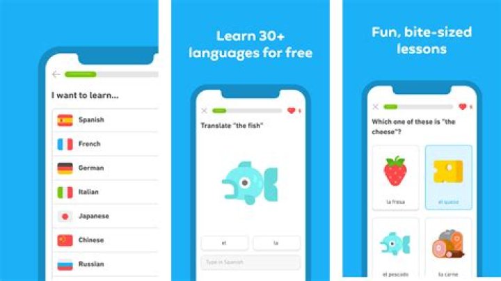 Duolingo screenshot 2019 final Duolingo screenshot 2019 final