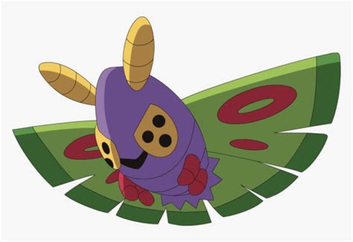 Dustox