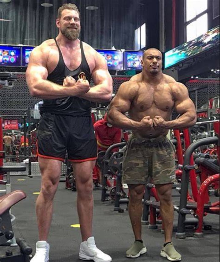 dutch giant height dutch giant height