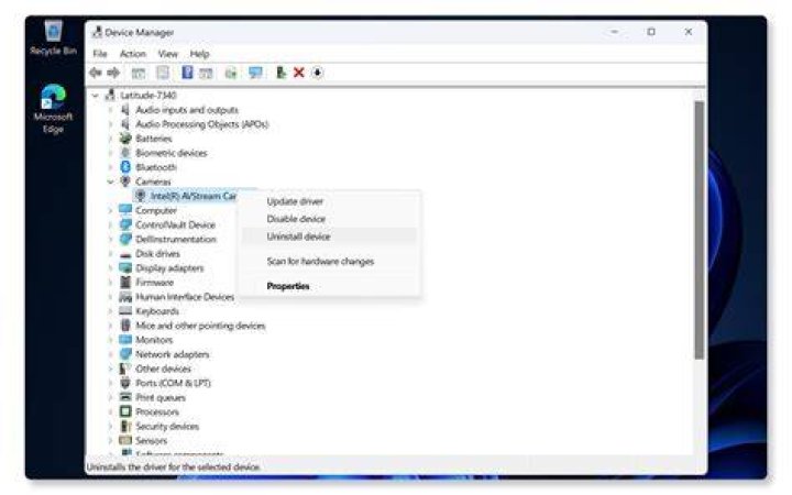 Ethernet adapter is not showing in Device Manager