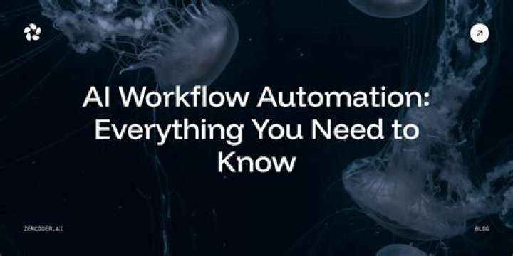 Everything that you need to know