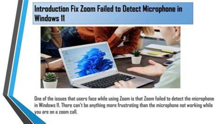 Fix Zoom failed to detect a microphone in Windows 11 problem